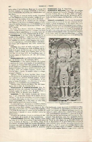 LAMINA ESPASA 30453: Escultura de la diosa Visnu 