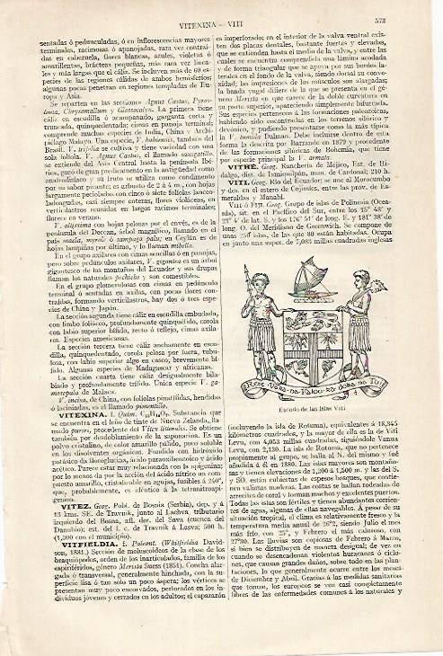 LAMINA ESPASA 30461: Escudo de las islas Viti