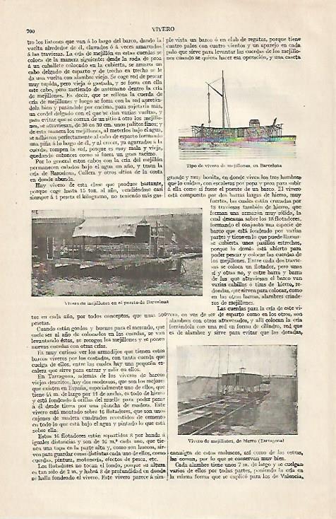 LAMINA ESPASA 30484: Viveros de mejillones en el puerto de Barcelona y Tarragona