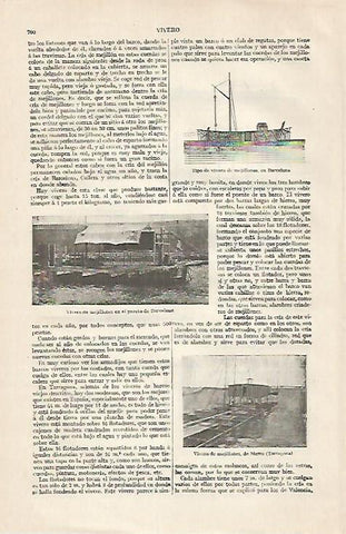 LAMINA ESPASA 30484: Viveros de mejillones en el puerto de Barcelona y Tarragona