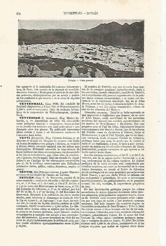 LAMINA ESPASA 30544: Vista general de Tetuan
