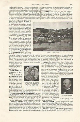 LAMINA ESPASA 30552: Vista de Teufen Suiza