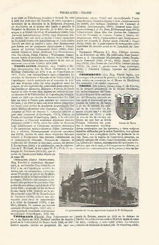 LAMINA ESPASA 30581: Escudo y ayuntamiento de Thorn Polonia