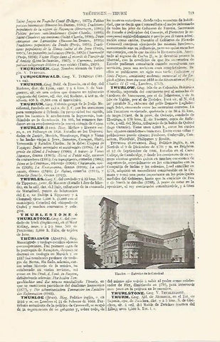 LAMINA ESPASA 30587: Catedral de Thurles Irlanda