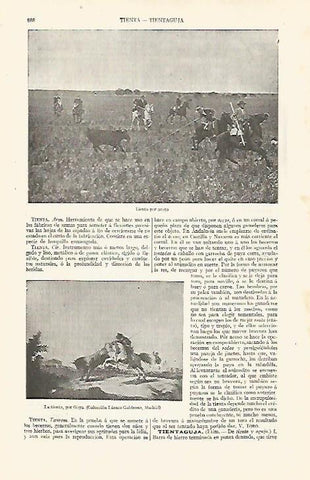 LAMINA ESPASA 30610: Tienta por acoso. La tienta por Goya