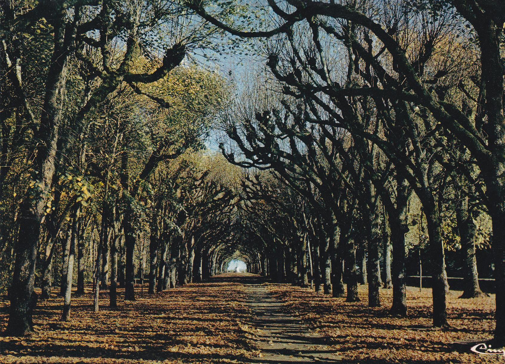 POSTAL B7704: FRANCIA: AVENIDA DE LAS LIMAS