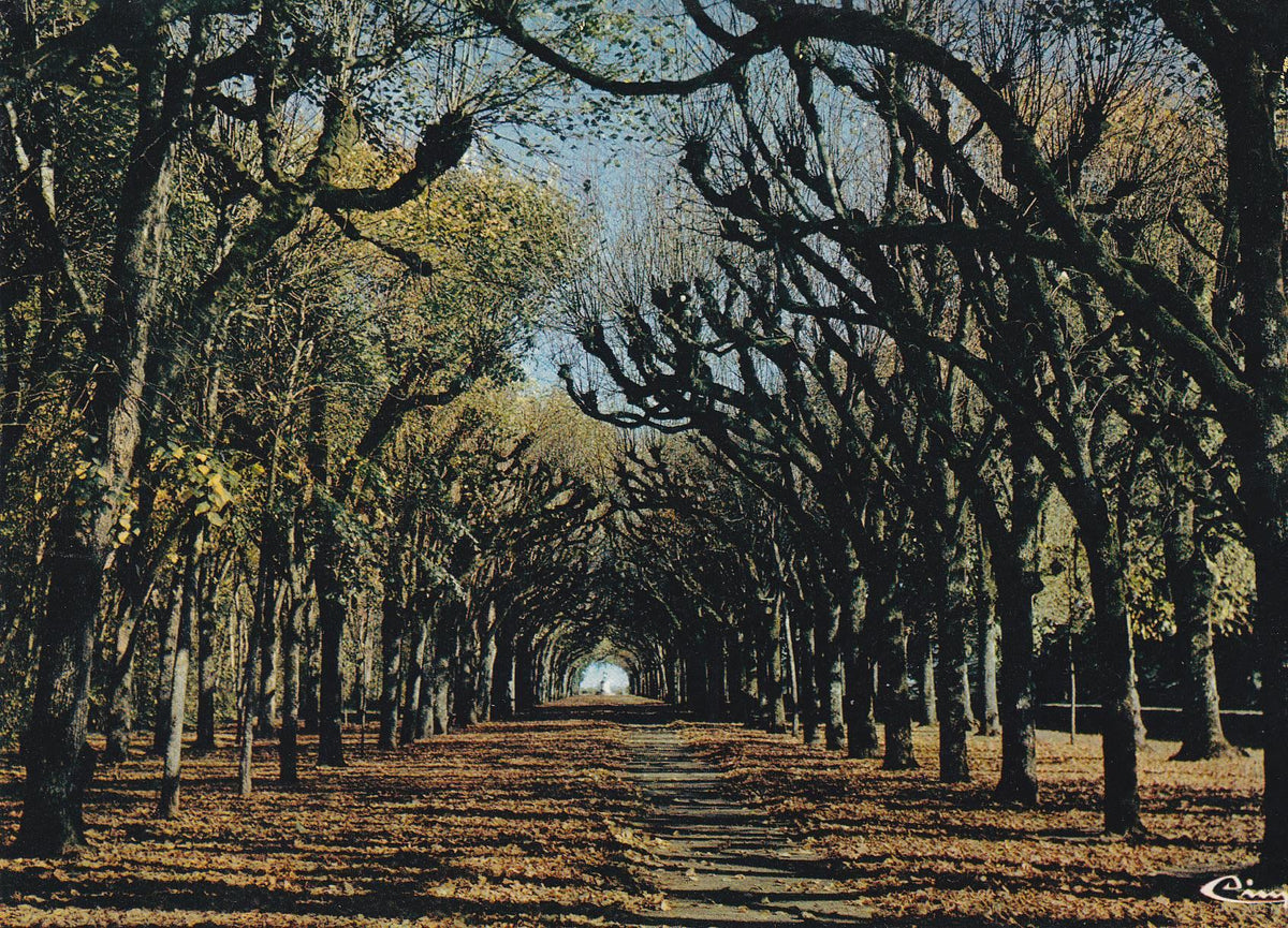 POSTAL B7704: FRANCIA: AVENIDA DE LAS LIMAS