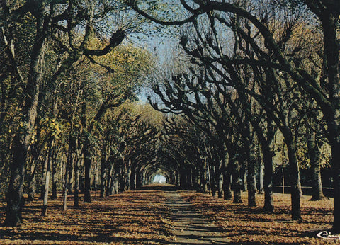 POSTAL B7704: FRANCIA: AVENIDA DE LAS LIMAS