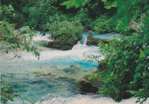 POSTAL B7713: FONTAINE DE VANCLUSE: MANANTIAL DE SORGE