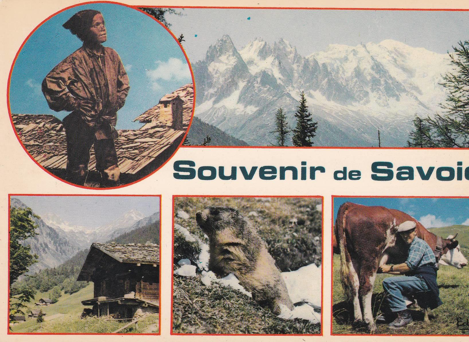 POSTAL B7727: FRANCIA: SAVOIA. DIFERENTES ASPECTOS