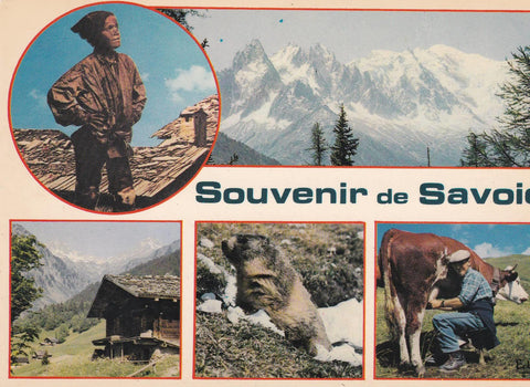 POSTAL B7727: FRANCIA: SAVOIA. DIFERENTES ASPECTOS