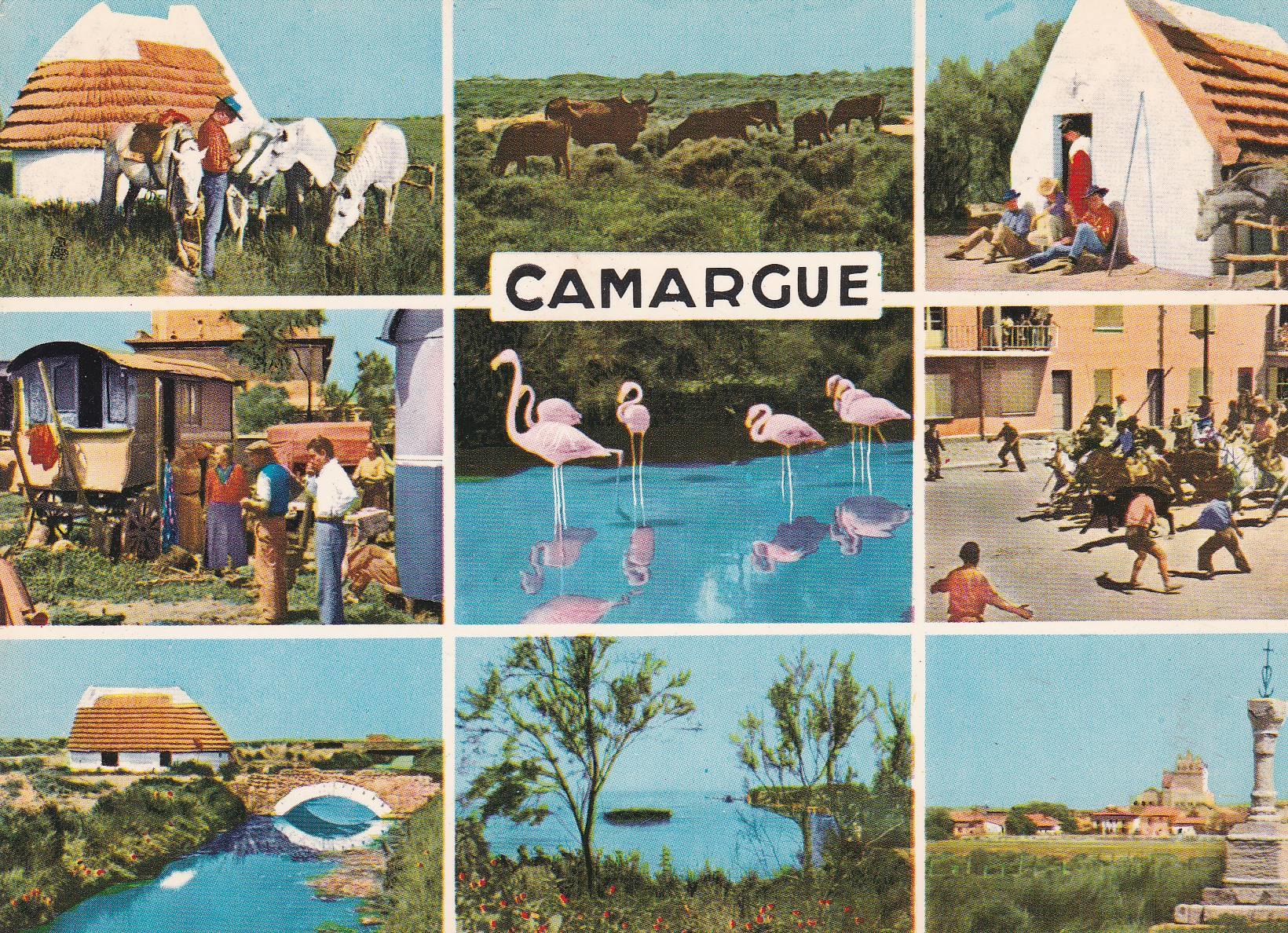 POSTAL B7833: FRANCIA: CAMARGUE. DIVERSOS ASPECTOS