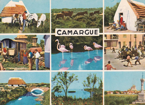 POSTAL B7833: FRANCIA: CAMARGUE. DIVERSOS ASPECTOS