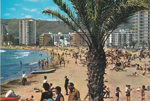 POSTAL B7878: ALICANTE: BENIDORM