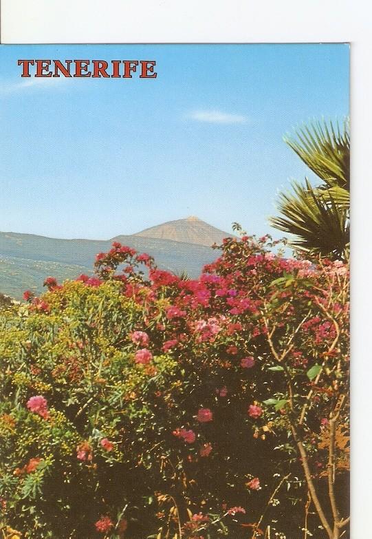 Postal 020814 : El teide - Tenerife