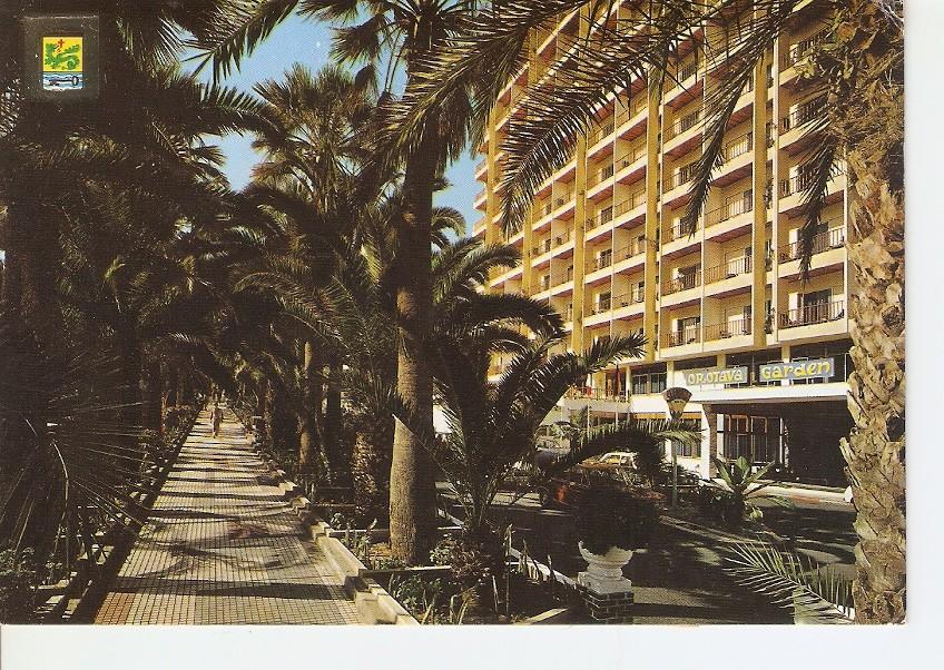 Postal 024693 : Puerto de la Cruz (Tenerife) Paseo Martianez y Hotel Orotava Garden
