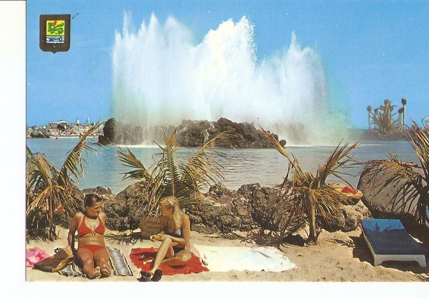 Postal 029617 : Puerto de la Cruz (Tenerife). Lago Martianez detalle