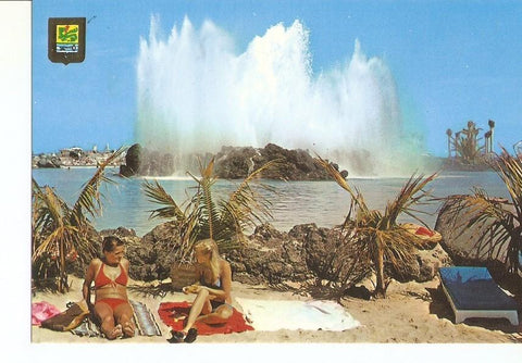 Postal 029617 : Puerto de la Cruz (Tenerife). Lago Martianez detalle