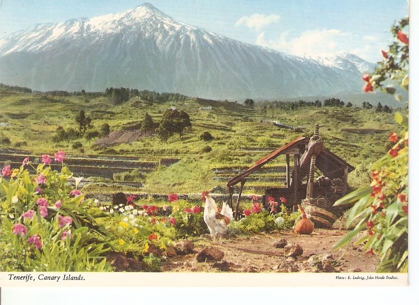 Postal 029619 : Tenerife Canary Islands