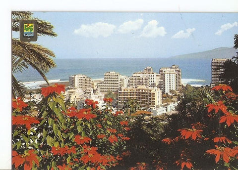 Postal 029696 : Puerto de la Cruz (Tenerife) Zona de San Telmo