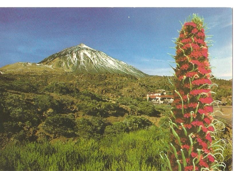 Postal 029702 : Teide (Tenerife). El Portillo y Pico al fondo 