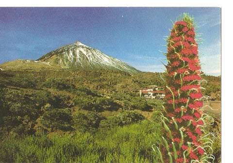 Postal 029702 : Teide (Tenerife). El Portillo y Pico al fondo 