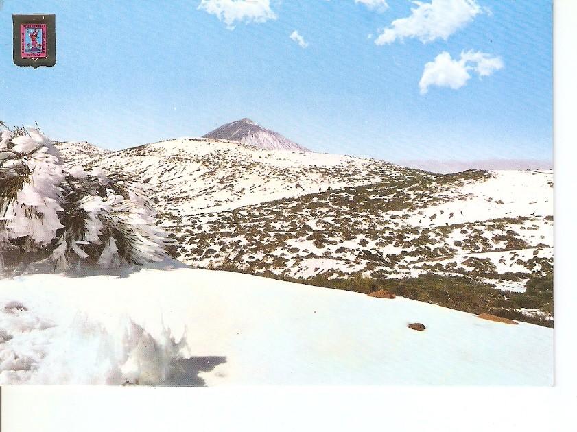 Postal 029704 : Tenerife vista del Teide