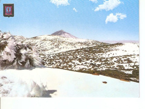 Postal 029704 : Tenerife vista del Teide