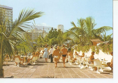 Postal 029706 : Puerto de la Cruz (Tenerife). El Teide
