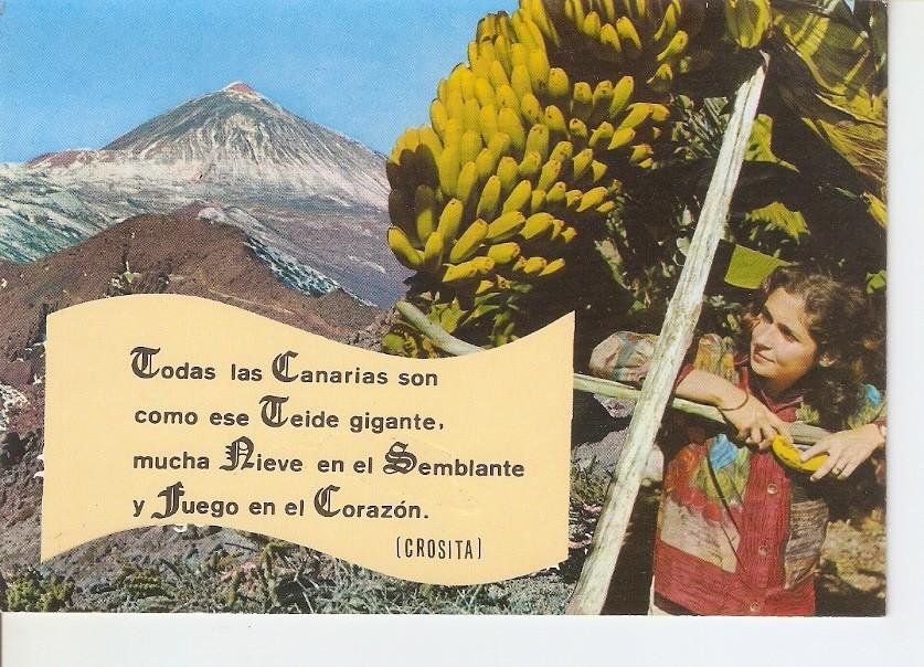 Postal 030565 : Tenerife