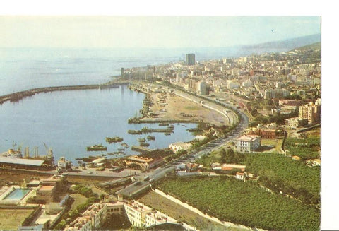 Postal 030781 : Santa Cruz de Tenerife. Vista Panoramica de la bahia y ciudad