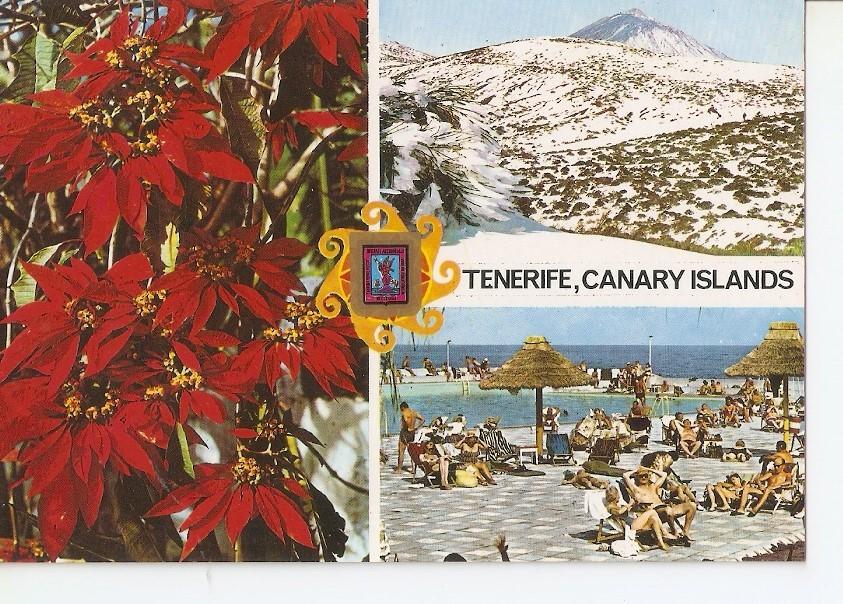 Postal 031181 : Puerto de la Cruz (Tenerife). Diferentes aspectos de la Isla de Tenerife