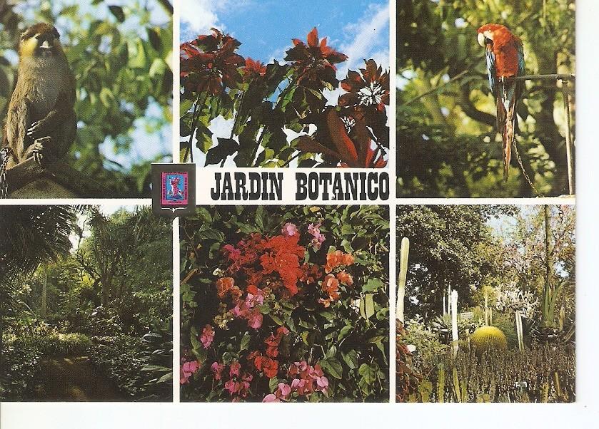 Postal 032281 : La Orotava /Tenerife). Jardin Botanico