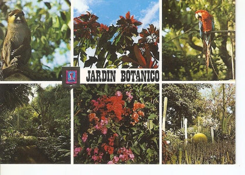 Postal 032281 : La Orotava /Tenerife). Jardin Botanico
