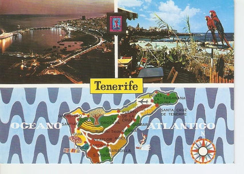 Postal 033204 : Santa Cruz de Tenerife. Vista nocturna del Puerto 