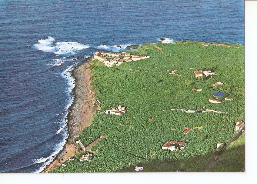 Postal 033218 : Tenerife. Vista de la costa y Urbanizacion Castro