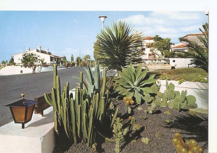 Postal 033252 : Puerto de la Cruz - Tenerife. Urbanizacion la Paz. Vista parcial