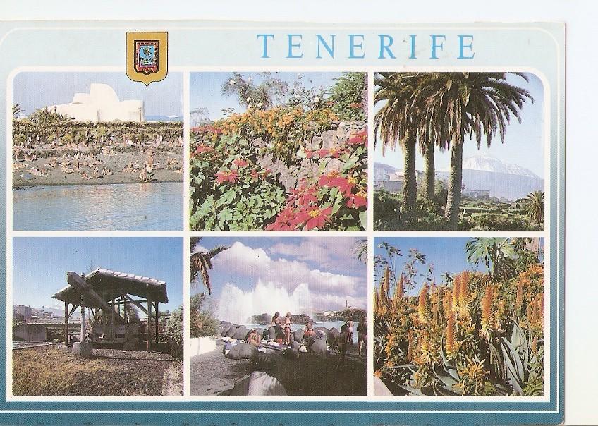 Postal 037167 : Tenerife. Diversos aspectos