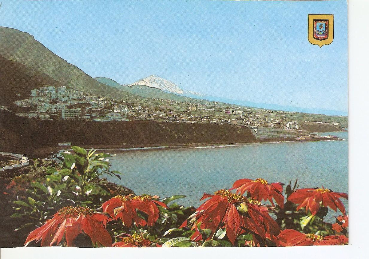 Postal 037702 : Bajamar (Tenerife). Vista general