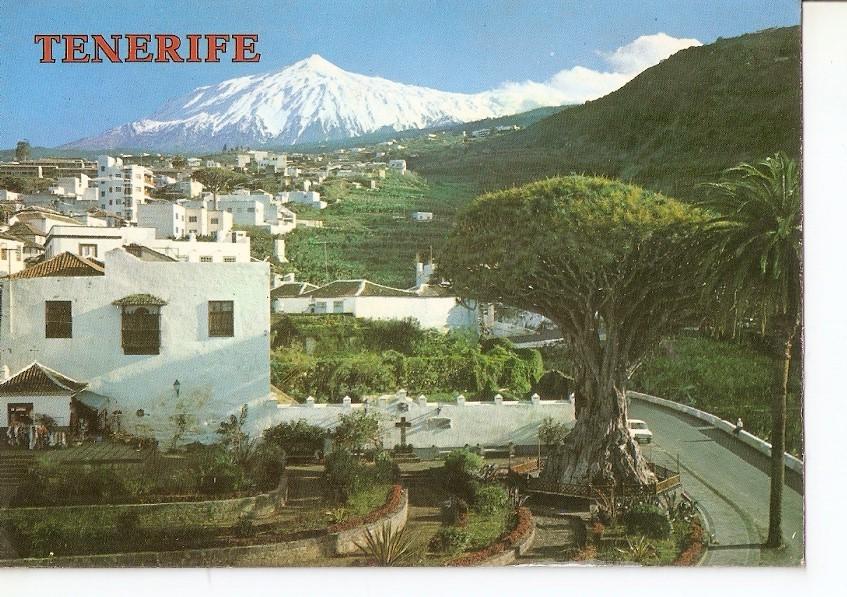 Postal 041780 : Icod de los Vinos (Tenerife). Vista parcial. Al fondo el Teide