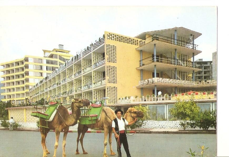 Postal 042632 : Puerto de la Cruz (Tenerife). Hotel Tenerife Playa