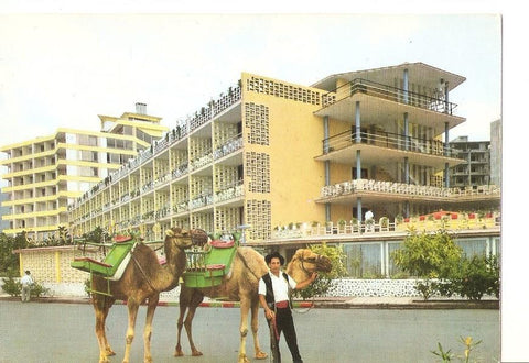 Postal 042632 : Puerto de la Cruz (Tenerife). Hotel Tenerife Playa
