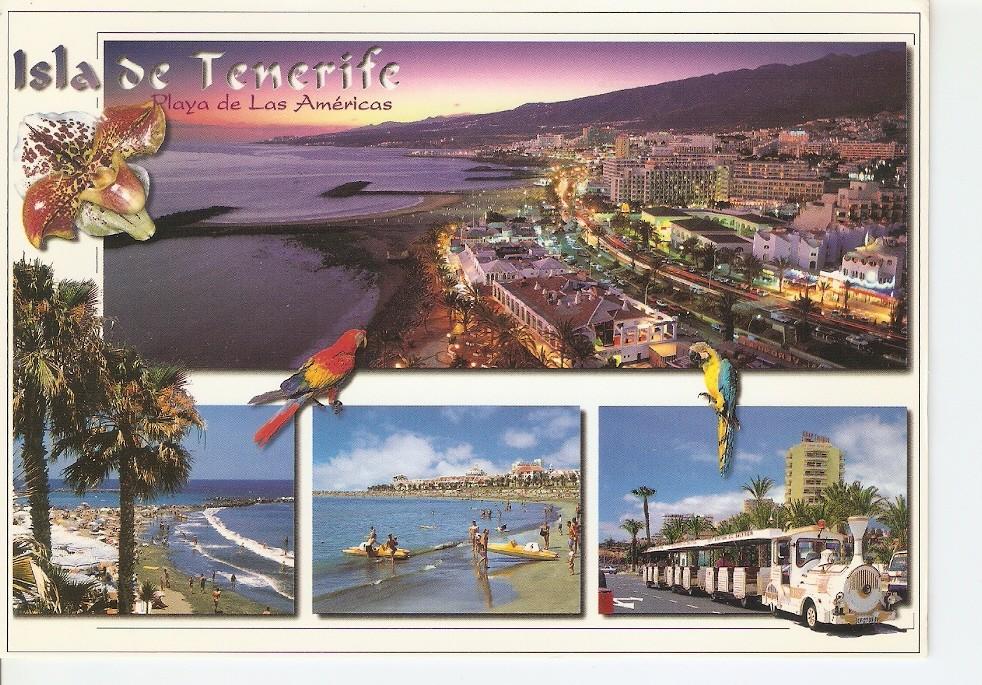 Postal 044062 : Isla de tenerife. Playa de las Americas