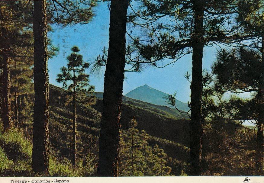 Postal 60283: Vista del teide al atardecer (Tenerife)