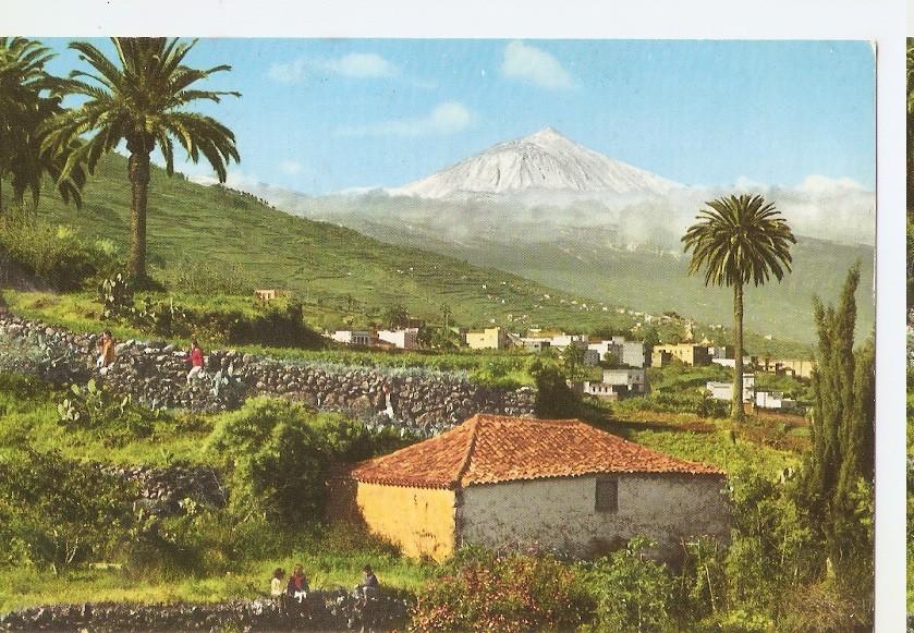 Postal 044686 : Tenerife Canary Islands