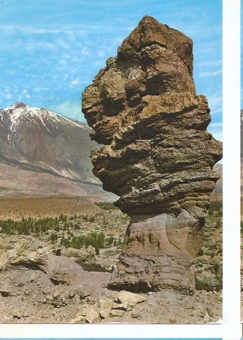Postal 047092 : Tenerife. Arbol de Piedra y Teide