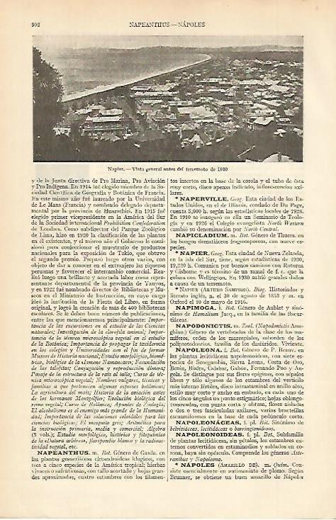 LAMINA ESPASA 4950: Vista de Napier antes del terremoto de 1930