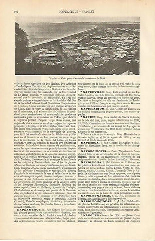 LAMINA ESPASA 4950: Vista de Napier antes del terremoto de 1930