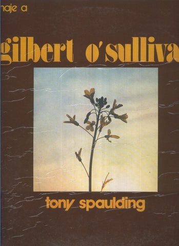 Disco LP- Homenaje a gilbert o sullivan 