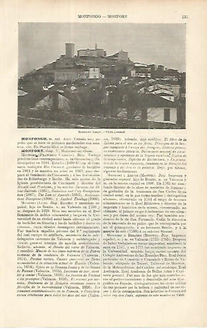LAMINA ESPASA 8538: Vista general de Monforte Lugo